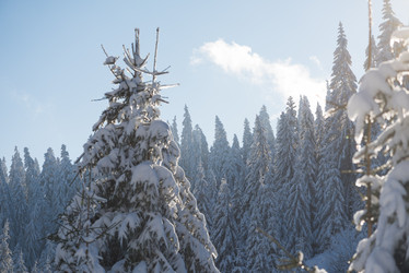 Similar image 13235168