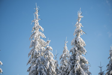 Similar image 13235194