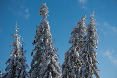 Similar image 13235211