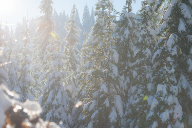 Similar image 13234162