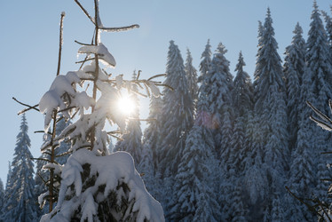 Similar image 13234284