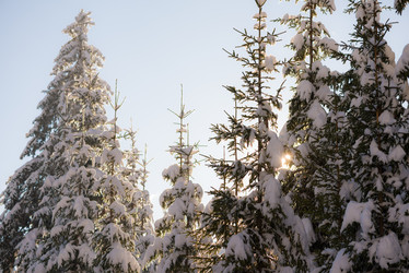 Similar image 13234368