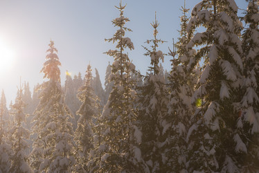 Similar image 13234519