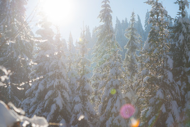 Similar image 13234520