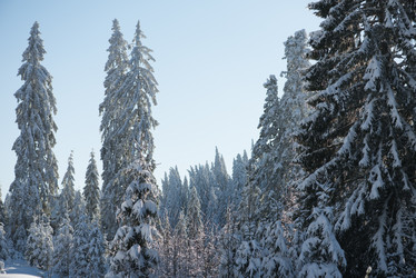 Similar image 13234627