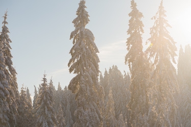 Similar image 13235749