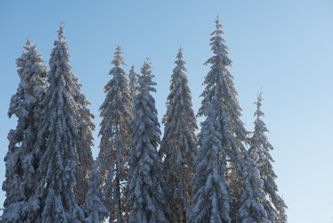 Similar image 13235787