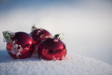 Similar image 13235465