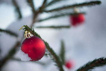 Similar image 13236874