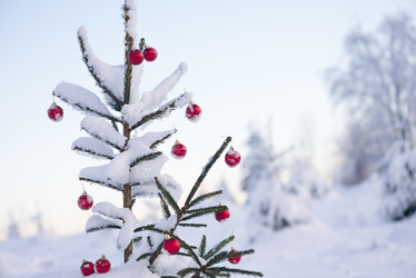 Similar image 13234259