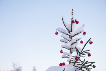 Similar image 13234299