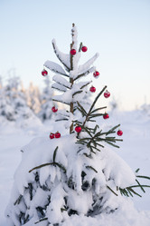 Similar image 13234340