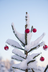 Similar image 13234395