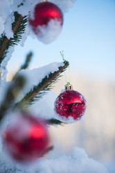 Similar image 13234667