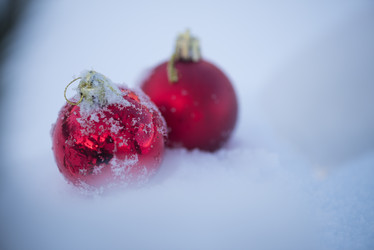 Similar image 13234768