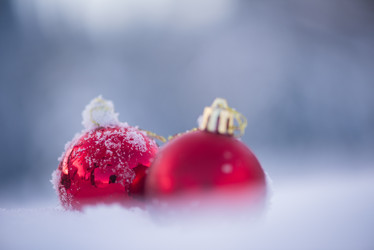 Similar image 13235040