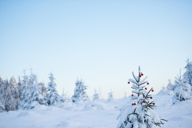 Similar image 13235120