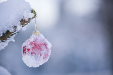 Similar image 13235155