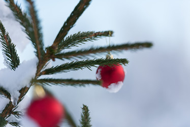 Similar image 13235251