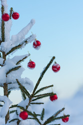 Similar image 13235405