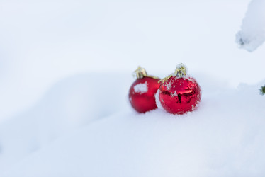 Similar image 13235418