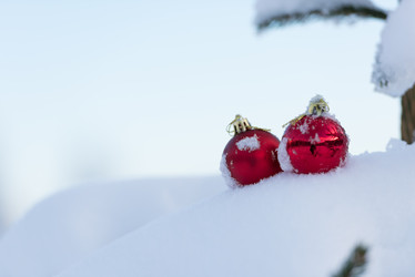 Similar image 13235467