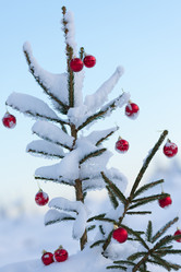 Similar image 13235682