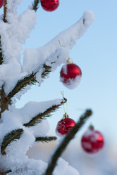 Similar image 13235804