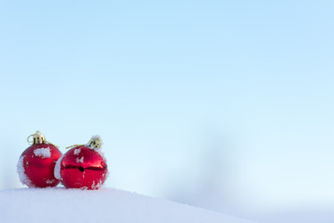 Similar image 13235962