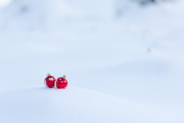 Similar image 13236268