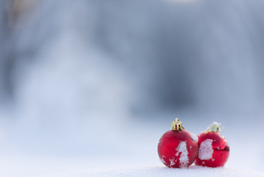 Similar image 13236376