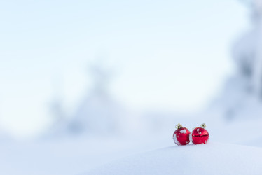 Similar image 13236562