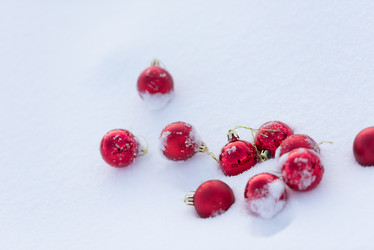 Similar image 13236725