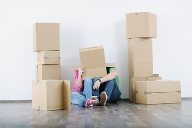 Similar image 13234838