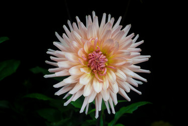 Similar image 13235173