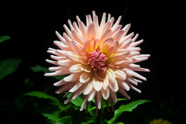 Similar image 13235183