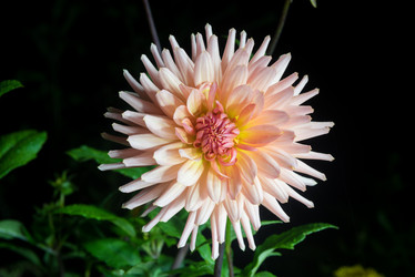 Similar image 13235199