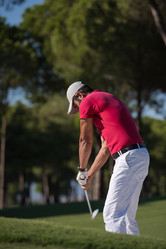 Similar image 13239378