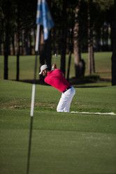 Similar image 13237020