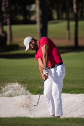 Similar image 13237172