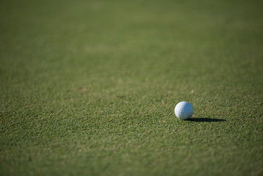 Similar image 13237381