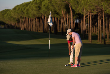 Similar image 13221459