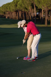 Similar image 13228182