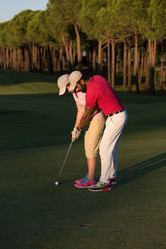 Similar image 13229010