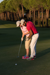 Similar image 13229129