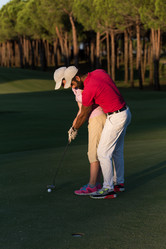 Similar image 13229450