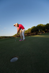 Similar image 13231271