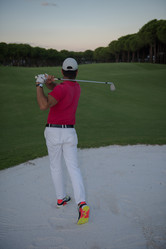 Similar image 13221294