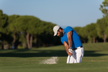 Similar image 13230027