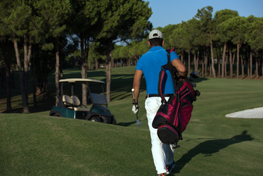 Similar image 13219731